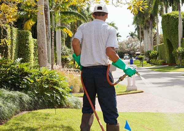 About Anaheim CA Pest Control Pros